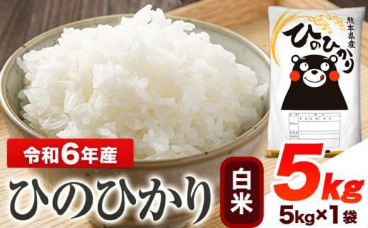 令和6年産 ひのひかり 白米 5kg 《7-14営業日以内に出荷予定(土日祝除く)》 熊本県産 白米 精米 ひの 送料無料 熊本県 山江村