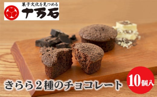 No.446 きらら2種のチョコレート　10個入 ／ 焼菓子 おやつ デザート ホワイトチョコ ココアパウダー 埼玉県 1835413 - 埼玉県行田市