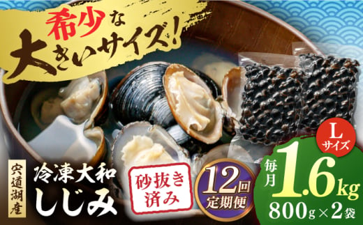 【全12回定期便】宍道湖産 冷凍大和しじみ 砂抜き済 Lサイズ800×2袋(1.6kg) 島根県松江市/しじみ市場株式会社 [ALDK008]｜シジミ 蜆 貝 魚貝類 魚介類 海鮮 簡単 お手軽 砂抜き不要 しじみ汁 大容量 1856763 - 島根県松江市