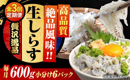 【全3回定期便】しらす 冷凍 シラス 小分け 干し 生しらすのプリッした食感と塩味が抜群！生しらす100g×6個 冷凍 シラス 鮮魚 ギフト 海鮮丼 広島県産 江田島市/三島水産株式会社 [XCN020] 1854651 - 広島県江田島市