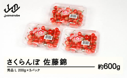 【ふるさと納税】先行予約 さくらんぼ 佐藤錦 秀品 L 約600g 令和7年産 2025年産 山形県産 フルーツ 果物 tf-snpsl600 1838557 - 山形県山辺町