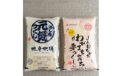 ＜毎月定期便＞福岡県産米『夢つくし』&『元気つくし』各5kg(大野城市)全6回【4062112】 1881049 - 福岡県大野城市