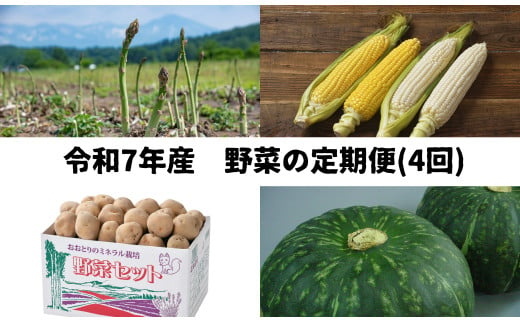 ≪令和７年産予約受付！≫おおとり　野菜の定期便（４回）グリーンアスパラ（ラスノーブル）1.5kg とうもろこし（黄・白）計１２本 男爵＆きたあかり 男爵Ｌサイズ5㎏・北あかり2Ｌ～Ｍサイズ5㎏冬至用南瓜5kg（２～３玉）アスパラ あすぱら とうもろこし とうきび じゃがいも 芋 イモ いも カボチャ 南瓜 旬 旬の野菜 定期配送[053-06] 682997 - 北海道美瑛町