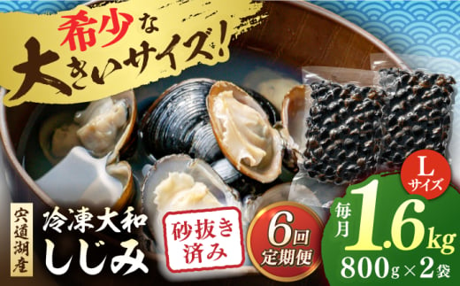 【全6回定期便】宍道湖産 冷凍大和しじみ 砂抜き済 Lサイズ800×2袋(1.6kg) 島根県松江市/しじみ市場株式会社 [ALDK007]｜シジミ 蜆 貝 魚貝類 魚介類 海鮮 簡単 お手軽 砂抜き不要 しじみ汁 大容量 1856762 - 島根県松江市