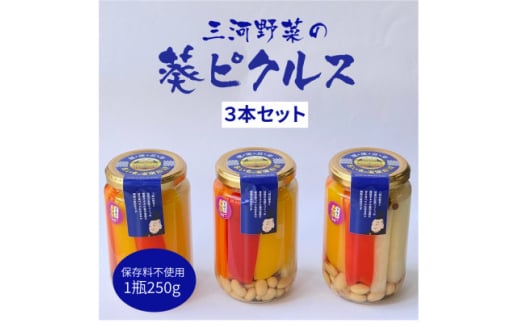 三河野菜の葵ピクルス「あいちの家康酢漬」250gびん3本【1575500】 1878035 - 愛知県岡崎市