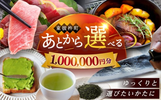 【あとから選べる】東彼杵町ふるさとギフト 100万円分/寄付 あとから寄附 あとからギフト あとからセレクト あとからチョイス あとから選べる 長崎県 駆け込み寄附 後から選べる 後から選べるギフト 後からセレクト 先に寄付 1000000 100万 [BZW010] 1852444 - 長崎県東彼杵町