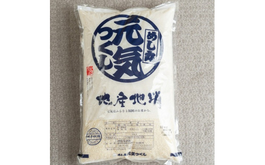 ＜毎月定期便＞福岡県産米『元気つくし』5kg(大野城市)全3回【4062090】 1881042 - 福岡県大野城市