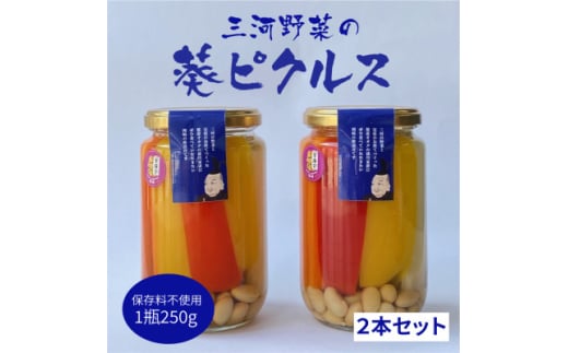 三河野菜の葵ピクルス「あいちの家康酢漬」250gびん2本【1575501】 1878036 - 愛知県岡崎市