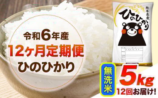 令和6年産 【12ヶ月定期便】 無洗米 ひのひかり 5kg 《お申し込み月の翌月から出荷開始》 熊本県産 無洗米 精米 ひの 送料無料 熊本県 山江村 SDGs 米 コメ こめ 国産 1607370 - 熊本県山江村