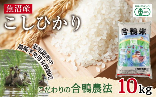 魚沼産 コシヒカリ 10kg あいがも農法 有機栽培米 精米 米 お米 ご飯 白米 合鴨 ごんべい こしひかり 特A 人気 安全 お取り寄せ 送料無料 新潟県 十日町市 1882651 - 新潟県十日町市