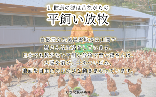 島根県雲南市のふるさと納税 平飼い八雲鶏(やくもどり)　彩り天佑卵(てんゆうらん) 10個×3パック 【卵 たまご タマゴ 鶏卵 卵30個 生卵 こだわり卵 玉子 平飼い 新鮮 卵かけご飯 たまごかけご飯 卵焼き TKG 冷蔵 自然飼料 島根県産 雲南市産】