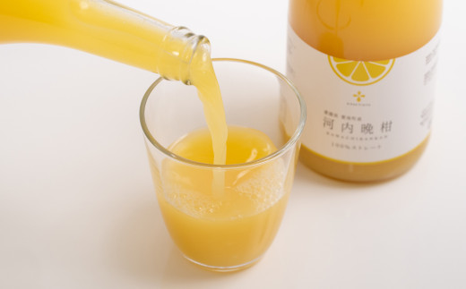 無添加 果汁100％ 河内晩柑ジュース 720ml×6本入【えひめの町（超）推し！（愛南町）】（577）