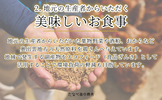 島根県雲南市のふるさと納税 平飼い八雲鶏(やくもどり)　彩り天佑卵(てんゆうらん) 10個×3パック 【卵 たまご タマゴ 鶏卵 卵30個 生卵 こだわり卵 玉子 平飼い 新鮮 卵かけご飯 たまごかけご飯 卵焼き TKG 冷蔵 自然飼料 島根県産 雲南市産】