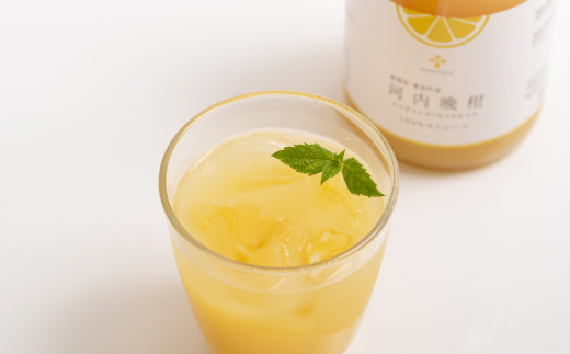 無添加 果汁100％ 河内晩柑ジュース 720ml×6本入【えひめの町（超）推し！（愛南町）】（577）