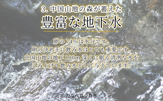 島根県雲南市のふるさと納税 平飼い八雲鶏(やくもどり)　彩り天佑卵(てんゆうらん) 10個×3パック 【卵 たまご タマゴ 鶏卵 卵30個 生卵 こだわり卵 玉子 平飼い 新鮮 卵かけご飯 たまごかけご飯 卵焼き TKG 冷蔵 自然飼料 島根県産 雲南市産】