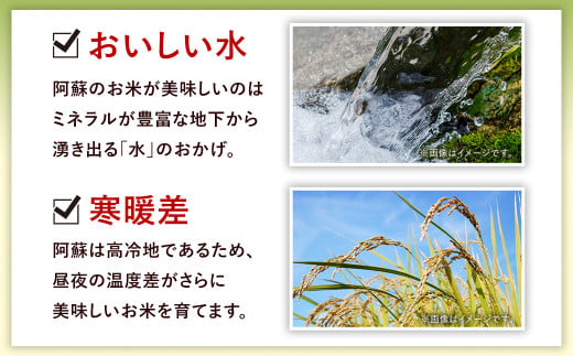 熊本県西原村のふるさと納税 ＜令和6年産＞ 新米 阿蘇だわら 10kg （5kg×2袋） 【2024年12月上旬発送開始予定】 精米 米 白米 熊本のお米 西原村