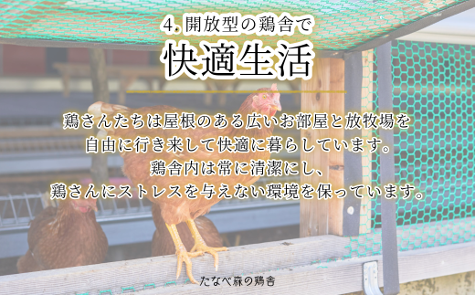 島根県雲南市のふるさと納税 平飼い八雲鶏(やくもどり)　彩り天佑卵(てんゆうらん) 10個×3パック 【卵 たまご タマゴ 鶏卵 卵30個 生卵 こだわり卵 玉子 平飼い 新鮮 卵かけご飯 たまごかけご飯 卵焼き TKG 冷蔵 自然飼料 島根県産 雲南市産】