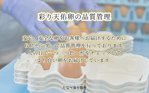 島根県雲南市のふるさと納税 平飼い八雲鶏(やくもどり)　彩り天佑卵(てんゆうらん) 10個×3パック 【卵 たまご タマゴ 鶏卵 卵30個 生卵 こだわり卵 玉子 平飼い 新鮮 卵かけご飯 たまごかけご飯 卵焼き TKG 冷蔵 自然飼料 島根県産 雲南市産】