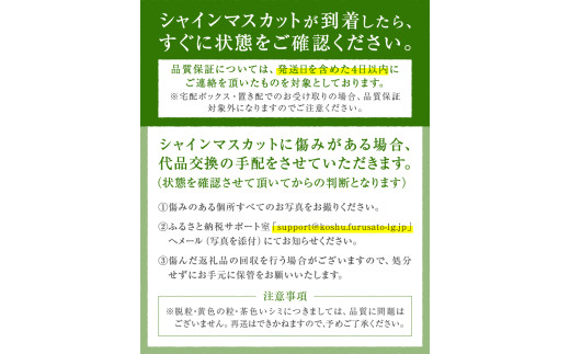 山梨県甲州市のふるさと納税 厳選！産地直送ぶどう「シャインマスカット」1.5kg以上（2～3房）【2025年発送】（KKH）B12-490 【シャインマスカット 葡萄 ぶどう ブドウ 令和7年発送 期間限定 山梨県産 甲州市 フルーツ 果物】