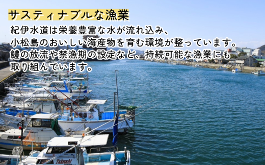 徳島県小松島市のふるさと納税 ローストチキン 6本 (3本×2) 国産 骨付鳥 もも肉 鶏肉 鳥肉 とりにく チキン 肉 にく 冷凍 もも 冷凍 空パック 小分け ローストレッグ クリスマス アウトドア BBQ ワイン ウイスキー 日本酒 焼酎 ビール ハイボール チューハイ お取り寄せ グルメ 誕生に 記念日 人気 おすすめ ふるさと納税 徳島県 小松島市 株式会社とり信