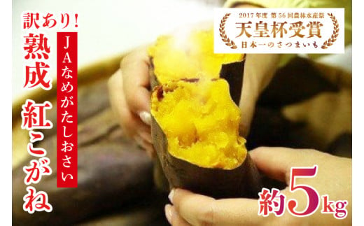 【2025年6月より順次発送】【訳あり】行方かんしょ「紅こがね」さつまいも約5kg（洗い・不揃い・C品）｜さつまいも 芋 わけあり 訳あり 焼芋 やきいも 紅こがね 茨城県 行方市 人気 送料無料(AE-108) 1895673 - 茨城県行方市