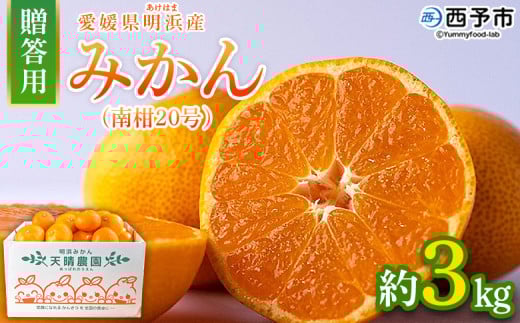 ＜みかん（南柑20号）贈答用 約3kg＞ 果物 くだもの フルーツ ミカン 柑橘 なんかん20ごう ナンカン20ゴウ 温州みかん うんしゅうみかん 贈答 ギフト プレゼント 特産品 株式会社笑丸 愛媛県 西予市【常温】 1887240 - 愛媛県西予市