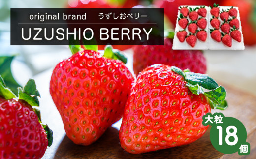 【朝摘みをお届け！】【 予約受付中・2025年12月中旬頃より順次発送 】 フルーツガーデンやまがたのいちご「うずしおベリー」大粒18個 【数量限定】 苺 いちご イチゴ 徳島 鳴門 果物 フルーツ ギフト 甘い 旬 紅ほっぺ 781516 - 徳島県鳴門市