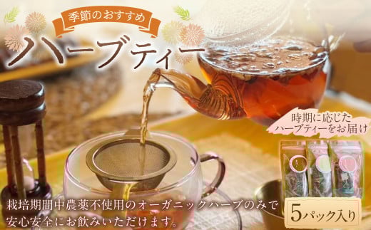 【ハーブ専門店】季節のお薦めハーブティー（5パック入り） | お茶 茶 ハーブティー ハーブ ブレンド ティーバッグ 自家農園 1539486 - 岐阜県美濃加茂市
