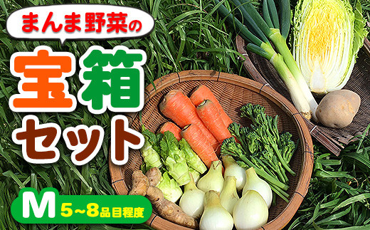 012-018　まんま野菜の宝箱セット M