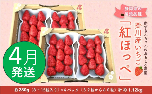 ６３９３　①4月からの発送 いちご 掛川産 紅ほっぺ 約280g×4パック 計1.12ｋｇ ①4月 ②5月  の中からお選び下さい 赤ずきんちゃんのおもしろ農園  1893193 - 静岡県掛川市