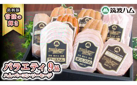筑波ハム バラエティ 9品 ( ハム ベーコン ソーセージ ) 『常陸の輝き』 茨城県産 ブランド豚 銘柄豚 ( 茨城県共通返礼品 ) ロースハム ボンレスハム フランク ウィンナー チョリソー 豚 ポーク ステーキ 肉 お肉 [EN009sa]