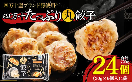 四万十産ブランド豚使用！四万十たっぷり丸餃子 4袋（30g×6個入)合計720g ／Qak-43 餃子 丸餃子 冷凍餃子 生餃子 冷凍生餃子 国産餃子 ブランド豚 1891205 - 高知県四万十町