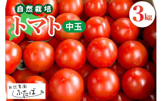 【先行受付】【2025年8月から順次発送】北海道十勝芽室町　自然菜園ふたば　宇佐美亮のトマト（中玉） 3kg　me074-011c