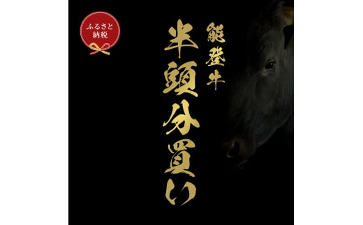 [№5784-1401]肉【和牛セレブ】能登牛 半頭買い（12分割配送）黒毛和牛 霜降り ギフト 石川県 能美市