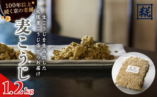 大阪屋こうじ店　麦こうじ 1升 (1.2kg) 麦麹 麦こうじ むぎこうじ 麹 塩麹 味噌 甘酒 国産 和食 発酵食品 冷蔵 京都府