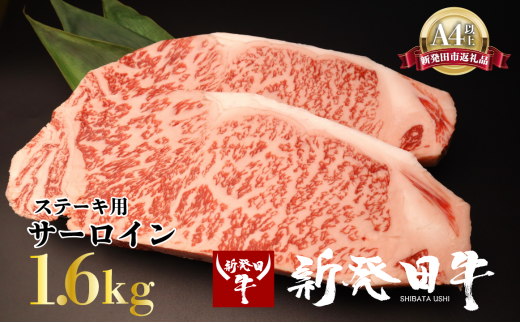サーロイン ステーキ 牛肉 1.6kg にいがた和牛 和牛 新発田牛 赤身 焼肉 ふるさと納税 和牛 BBQ キャンプ 特選 贅沢 厳選和牛 ブランド牛 ギフト 贈答 お歳暮 母の日 新潟 新潟県 新潟産 新発田 新発田市 新発田産 アルビレックス アルビレックス新潟 えのもとミート 1907538 - 新潟県新発田市