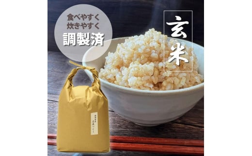 福岡県産【特A】評価のお米「元気つくし」5kg×1袋 [5kg] [玄米]