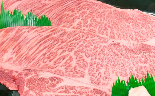 愛媛県産 黒毛和牛 雌牛 いしづち牛肩ロース 焼肉用 500g 牛 肉 牛肉 肩ロース 焼肉 冷凍 愛媛県 (664)