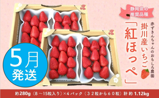 ６３９３　②5月からの発送 いちご 掛川産 紅ほっぺ 約280g×4パック 計1.12ｋｇ ①4月 ②5月  の中からお選び下さい 赤ずきんちゃんのおもしろ農園  1893194 - 静岡県掛川市