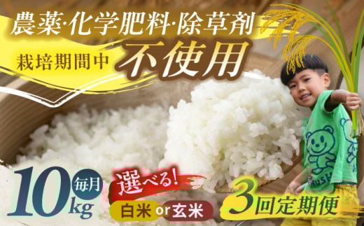 【3回定期便】源流育ち お山のお米 10kg 白米 玄米 選べる 国産 岐阜 白川町 / Sunpo [AWBC015]