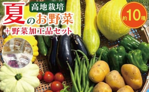 夏野菜 10種 程度 + 加工品 2種 ～ 3種 セット 野菜 きゅうり ピーマン ししとう オクラ ナス ズッキーニ じゃがいも へちま トマト かぼちゃ 玉ねぎ 梅干し 梅酢 紫蘇梅酢 乾燥菊芋 干し大根 詰合せ くららファーム 徳島県 吉野川市