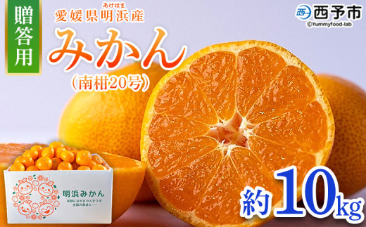 ＜みかん（南柑20号）贈答用 約10kg＞ 果物 くだもの フルーツ ミカン 柑橘 なんかん20ごう ナンカン20ゴウ 温州みかん うんしゅうみかん 贈答 ギフト プレゼント 特産品 株式会社笑丸 愛媛県 西予市【常温】 1887242 - 愛媛県西予市