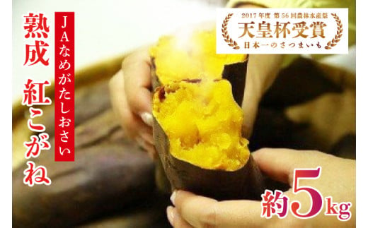 【2025年1月より順次発送】【行方かんしょ】『天皇杯受賞』JA「紅こがね」さつまいも約5kg(AE-106) 1895631 - 茨城県行方市