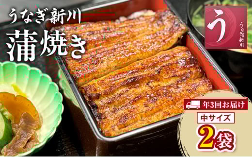 [№5904-0603]【年3回お届け】定期便 うなぎ新川 蒲焼き（中サイズ）2袋入り 　鰻 うなぎ蒲焼 蒲焼 タレ付き うな重 冷凍 成田市 千葉県 1894487 - 千葉県成田市
