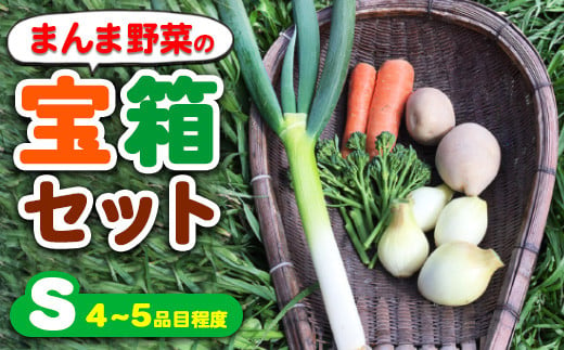 10-095　まんま野菜の宝箱セット S