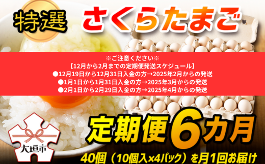 特選　さくらたまご【定期便　6カ月】☆40個（10個入×4パック）を月1回お届け☆☆