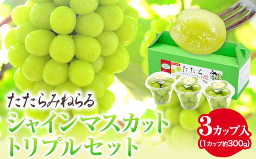 先行予約 たたらみねらる シャインマスカット トリプルセット 約300g×3カップ 計約900g シャイン マスカット 種無し ぶどう 果物 フルーツ 糖度18度以上 [2025年8月下旬-10月下旬頃出荷]