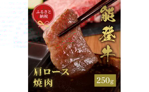 [№5784-1356]肉【和牛セレブ】能登牛 牛肩ロース 焼肉 250g 肩ロース 黒毛和牛 霜降り ギフト 石川県 能美市