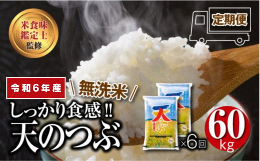 ＼ 年内発送 12/24(火)決済完了分まで！／【 令和6年産 】 ＼定期便／ 無洗米 天のつぶ 1俵 60kg 10kg ずつ 6回 配送ギフト 贅沢 のし対応 １週間以内発送 福島 ふくしま 田村 贈答 美味しい 米 kome コメ ご飯  ブランド米  精米したて お米マイスター 匠 食味鑑定士 安藤米穀店