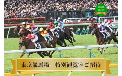 [東京競馬場]6月22日(日)特別観覧室(1組4名様)[府中牝馬ステークス・GⅢ]ご招待